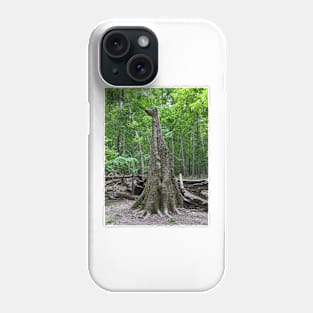 Broken Tree Standing Tall Photographic Image Phone Case