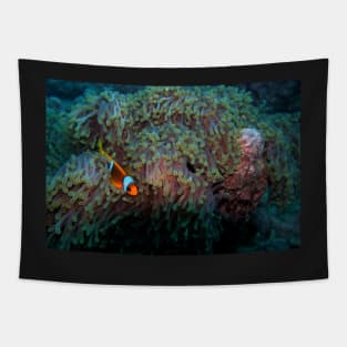 sea anemone and clownfish Tapestry