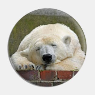 Polarbear20150501 Pin