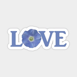 Love Morning Glory Magnet