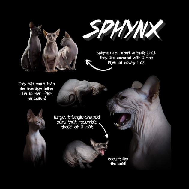Sphynx Cat Fun Facts by Animal Facts and Trivias