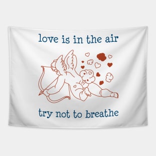 Funny Valentine - Rude Sarcastic Anti Valentine - Valentine Day Humor (Light B/G) Tapestry