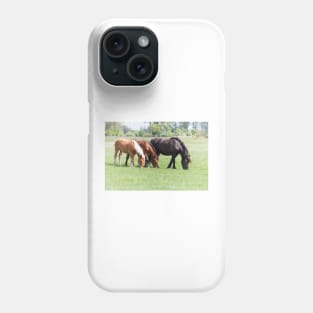 Three horses grazing on pasture Phone Case