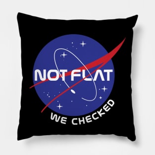 Not Flat We Checked Pillow