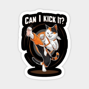 Can I Kick It ? Funny Kung fu cat Magnet