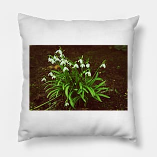 Down In The Woods Pillow