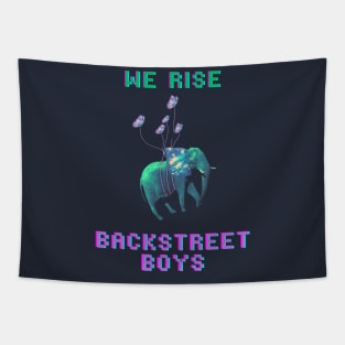 WE RISE - Backstreet Boys Tapestry