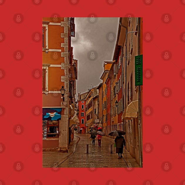 Rainy Day. Rovinj. Croatia by vadim19