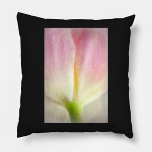 Luminous Tulip Pillow