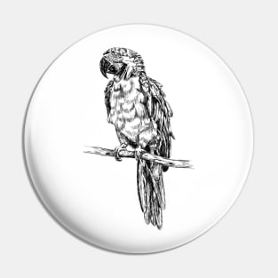 Parrot image Pin