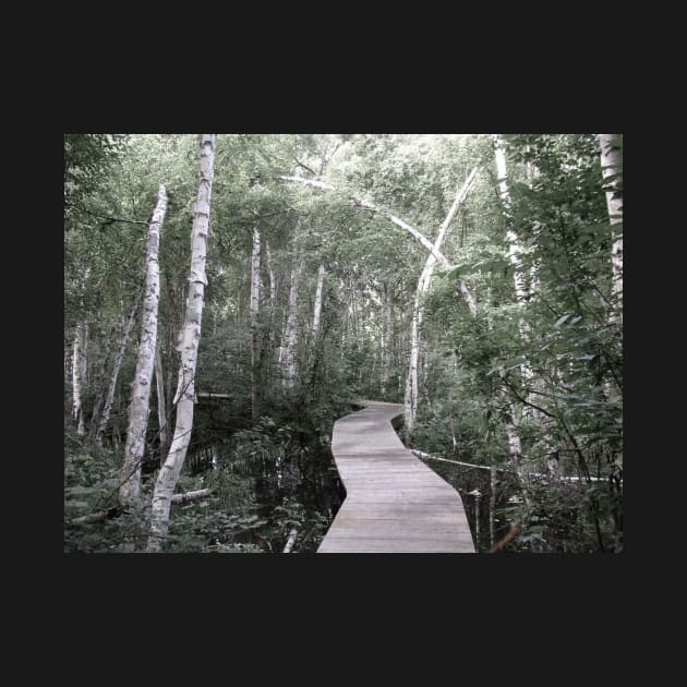 Wooden boardwalk in muted green hues. by brians101