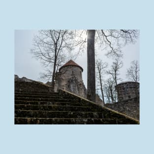 Ruins and stairs of medieval castle in Cesis, Latvia T-Shirt