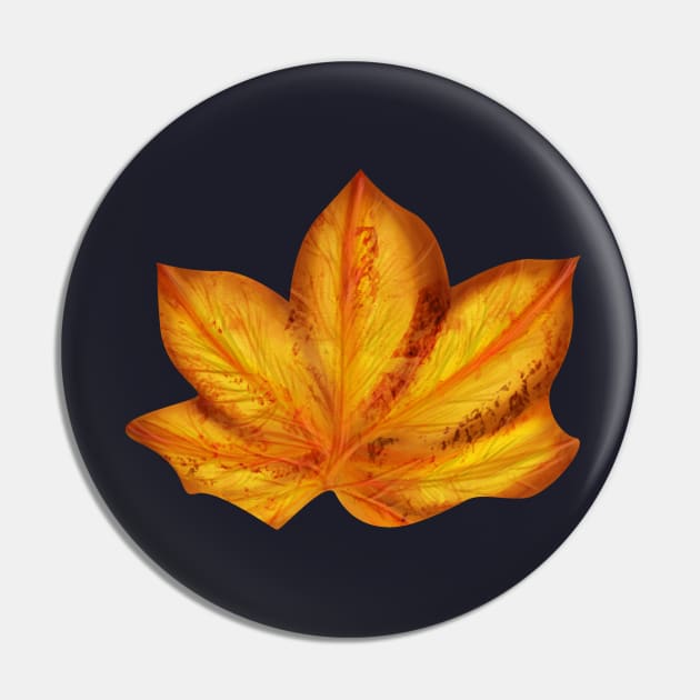 Orange autumn leaves Pin by Salma Ismail