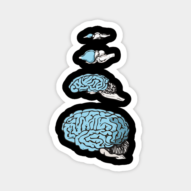 Neocortex Evolution Magnet by RosArt100