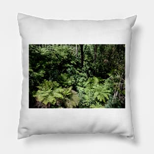 Untouched Forest Pillow