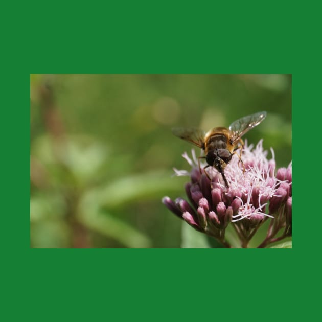 Bee On Water Hemp Flower by Pirino