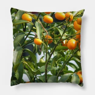 Kumquat tree Pillow