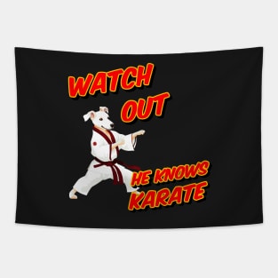 Watch out he knows Karate - dog knows karate Tapestry