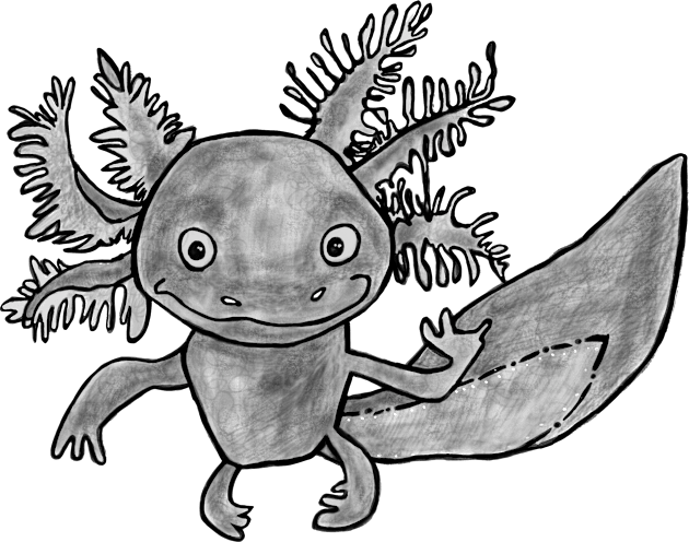 Axolotl Art, Gray Axolotl Kids T-Shirt by badlydrawnbabe