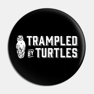 turtles music Pin