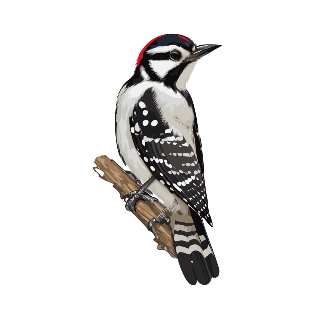 Downy Woodpecker Bird on a Tree by Klaro