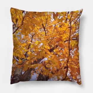 Yellow Autumn Leaves Pillow