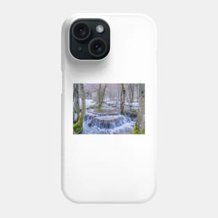 Calc-sinter or Travertine terraces, Gutenberg, South Germany Phone Case