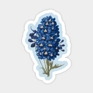Delft  Blue Ephemera Delphinium Flower Magnet