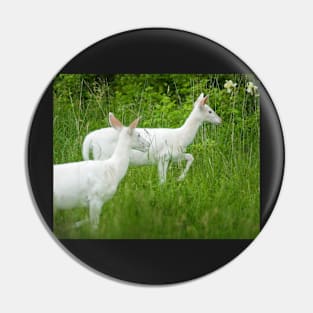 White Deer Pin