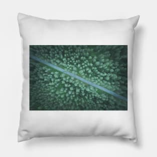 Car on the road going diagonally through the forest top down aerial view Pillow