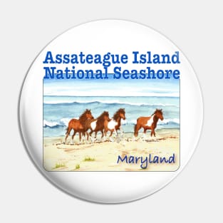 Assateague Island National Seashore Pin