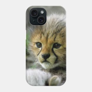 Cheetah 003 Phone Case