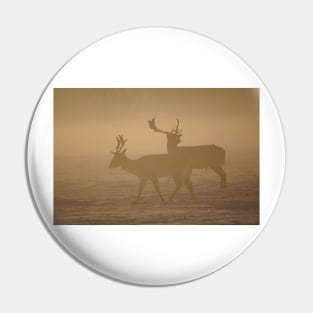 Fallow Deer Pin