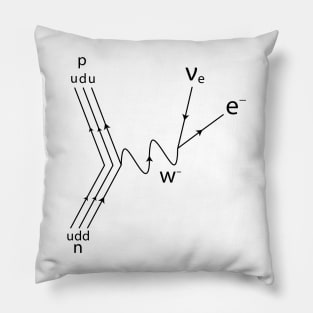 Feynman Diagram Pillow