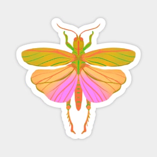 Aesthetic Bug Art Magnet