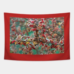 Frosted Red Berries Tapestry