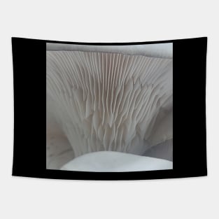 Oyster Mushroom Gills #2 Tapestry