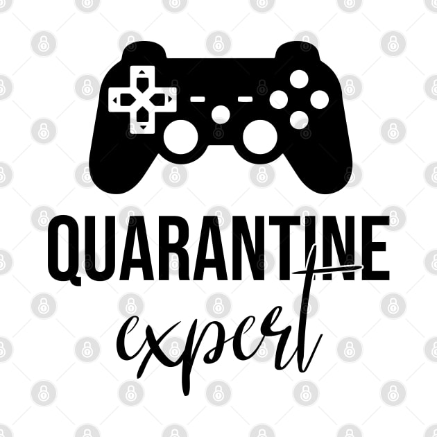 Quarantine Video Game - Play Game Expert by wendieblackshear06515