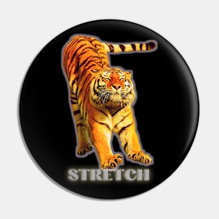 Large tiger doing a stretch exercise - silver text 1 Pin