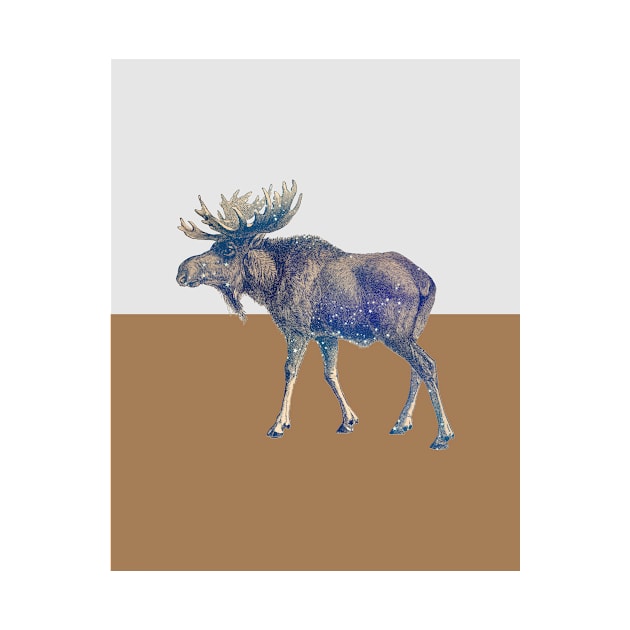 Moose Colorblock by She Gets Creative