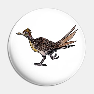 Roadrunner Pin