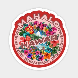 Hawaii Magnet