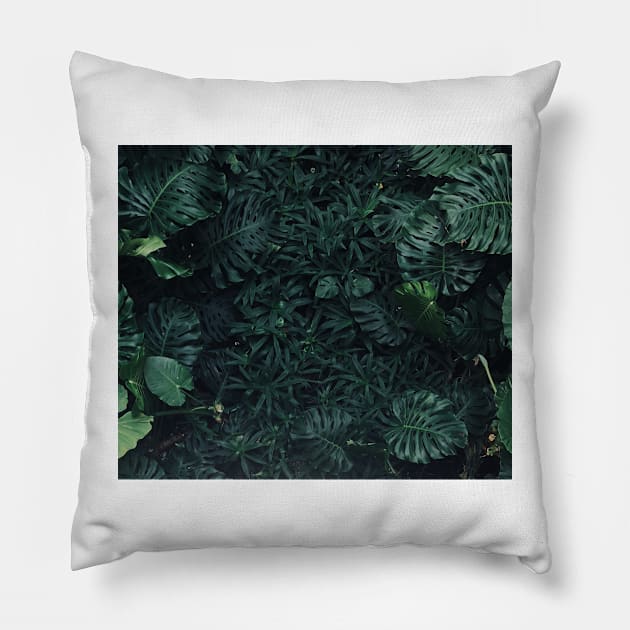 Luscious ferns Pillow by RoseAesthetic