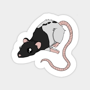 A Little Rattie - Black Hooded Magnet