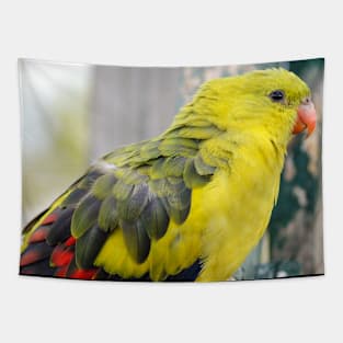 Regent Parrot Tapestry