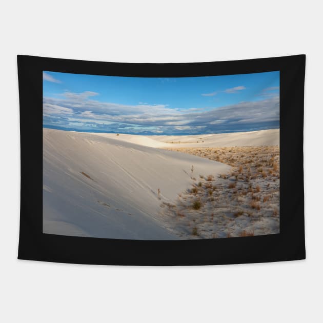 White Sand Morning Tapestry by jvnimages