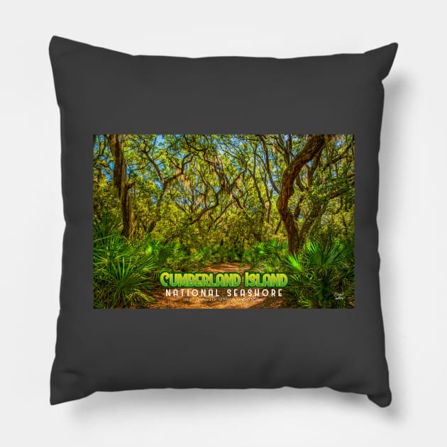 Cumberland Island National Seashore Pillow by Gestalt Imagery