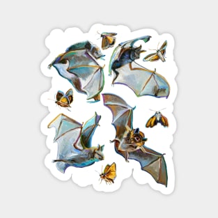 Midnight Mania Witchy Flying Bats Pattern by Robert Phelps Magnet