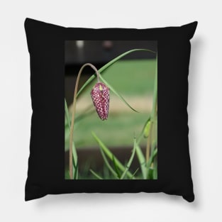 Snakeshead Fritillary Pillow