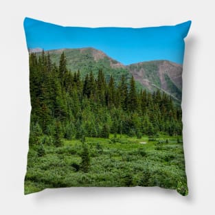 Lush Mountain Meadow. Pillow